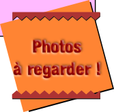 wp516b0443.png